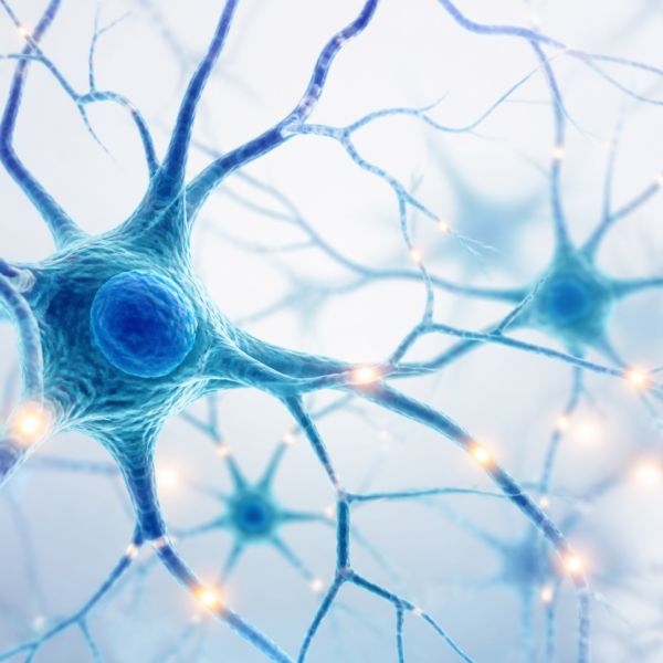 Neural Research