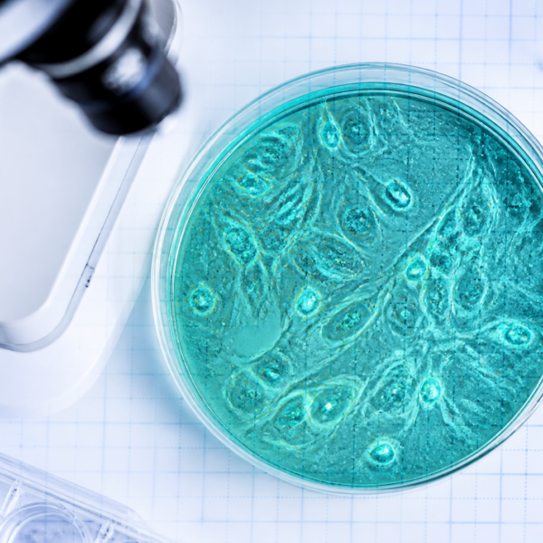 Cellular Research